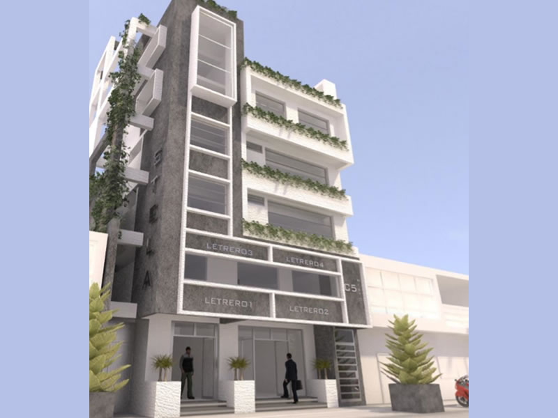 Asesoramiento, Licencias y Saneamiento